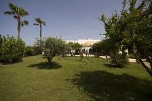 A well-maintained grassy area with palm trees and a building with a dome-shaped roof in the background.