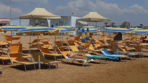 Une plage bordée de rangées de transats et de parasols, un bar en arrière-plan et un ciel dégagé.