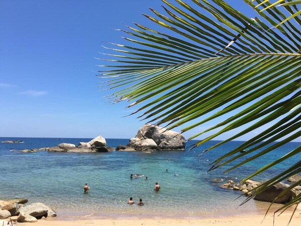 On the beach, beach bar - Poseidon Resort (Koh Tao)