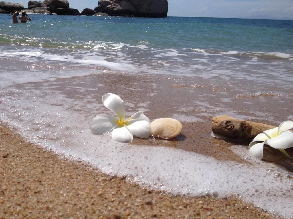 Foto - Poseidon Resort