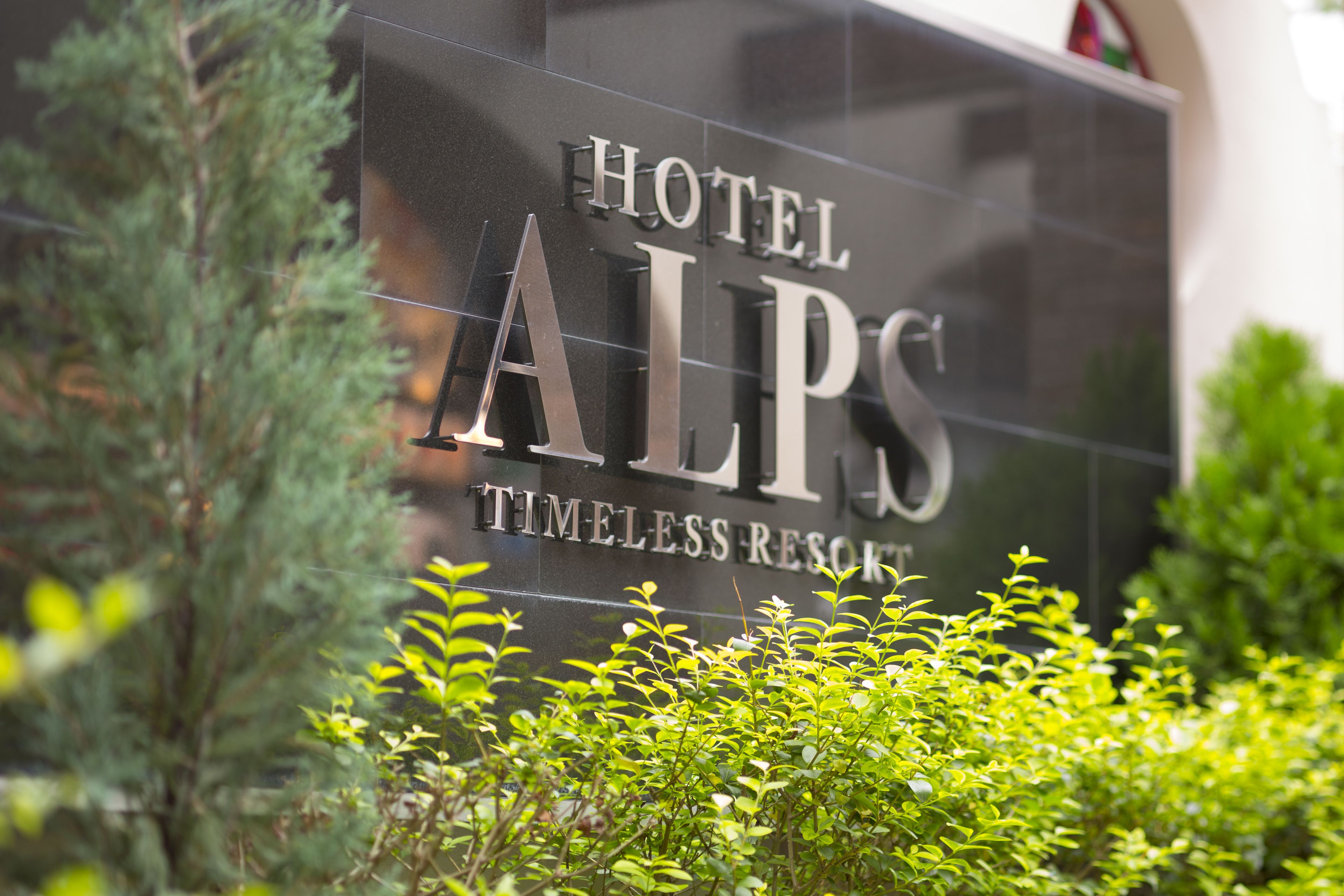 Foto - Hotel Alps