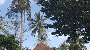 A small, single-story house with a brown roof, surrounded by lush greenery and palm trees. - Diamond Beach Resort (Koh Tao)