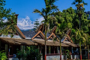 山景