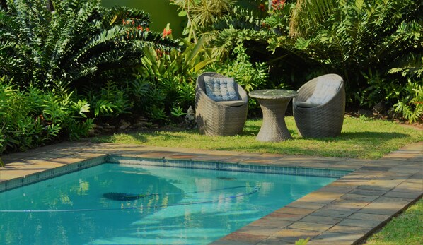 Outdoor pool, pool loungers - Buya Futhi Bed & Breakfast (St. Lucia)