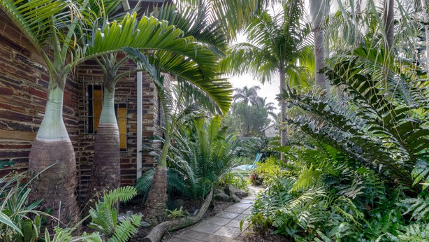 Un sendero bordeado por exuberante vegetación tropical y un edificio de ladrillo con amplios ventanales.