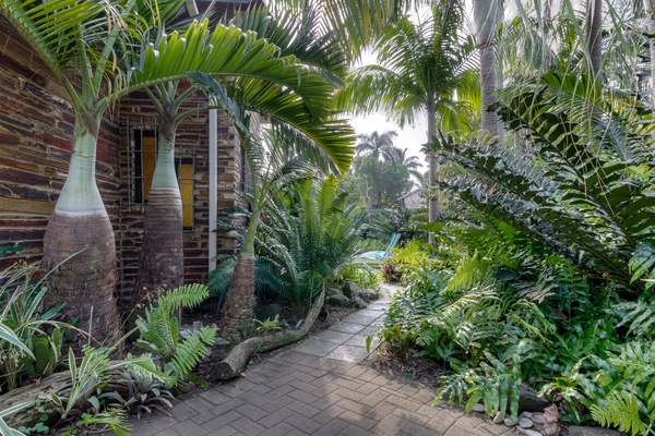 Garden view