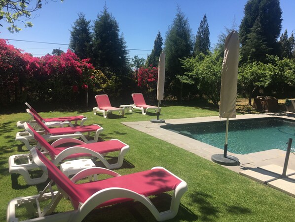 Outdoor pool, pool umbrellas, pool loungers - Paarl Nuwerus Lodge (Paarl)