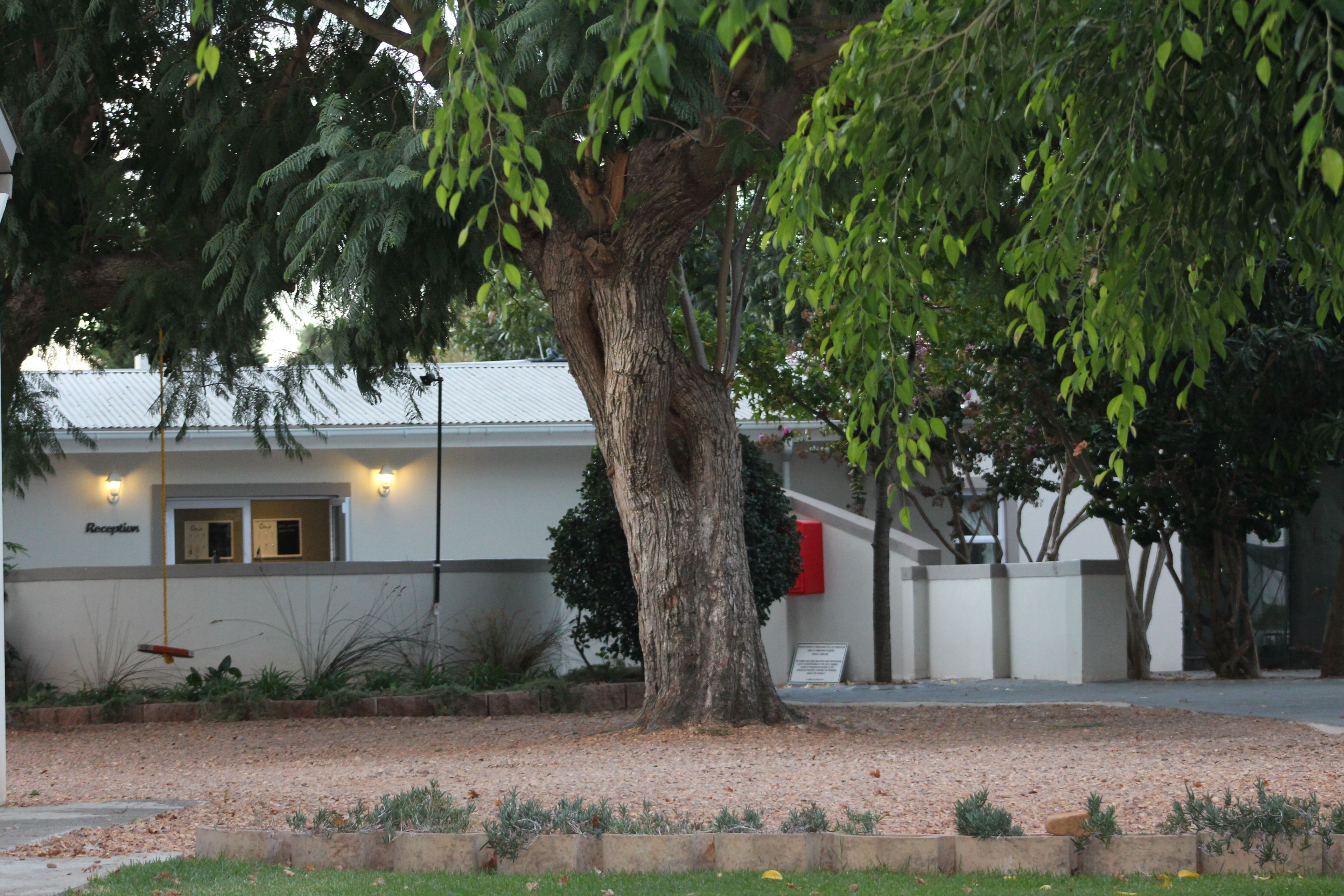 Una recepción con un gran árbol, un edificio de fachada blanca y un buzón rojo.