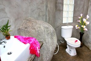 Shower, hair dryer