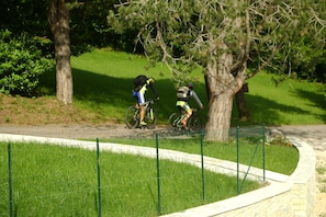 Bicycling