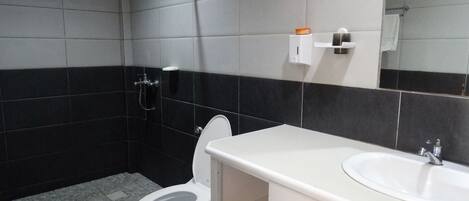 A bathroom with a toilet, a sink, a mirror, and a shower area.