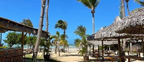 Un resort frente a la playa con estructuras de techo de paja, palmeras y una vista despejada del océano.