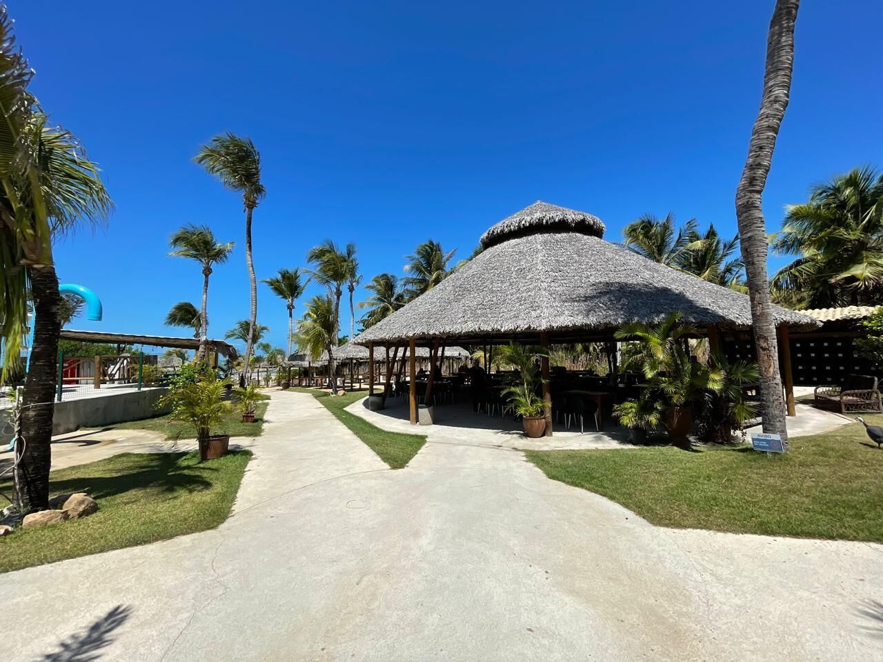 A resort with a thatched-roof pavilion, palm trees, and a paved walkway.