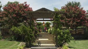 A wooden pergola with a roof, surrounded by lush greenery and flowering bushes.