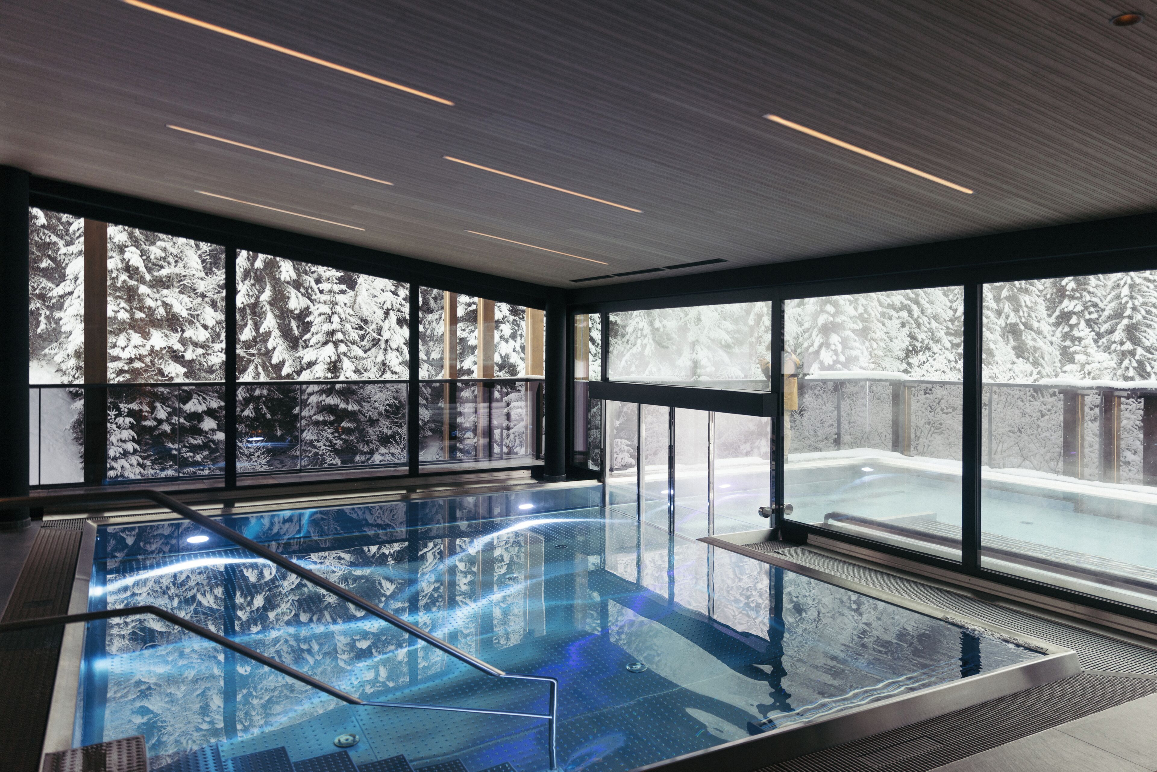 Indoor/outdoor pool