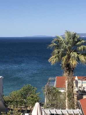 A coastal view with a palm tree, a clear blue sea, and buildings in the background.