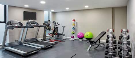 A gym with treadmills, a bench, a wall-mounted TV, and a rack of dumbbells.