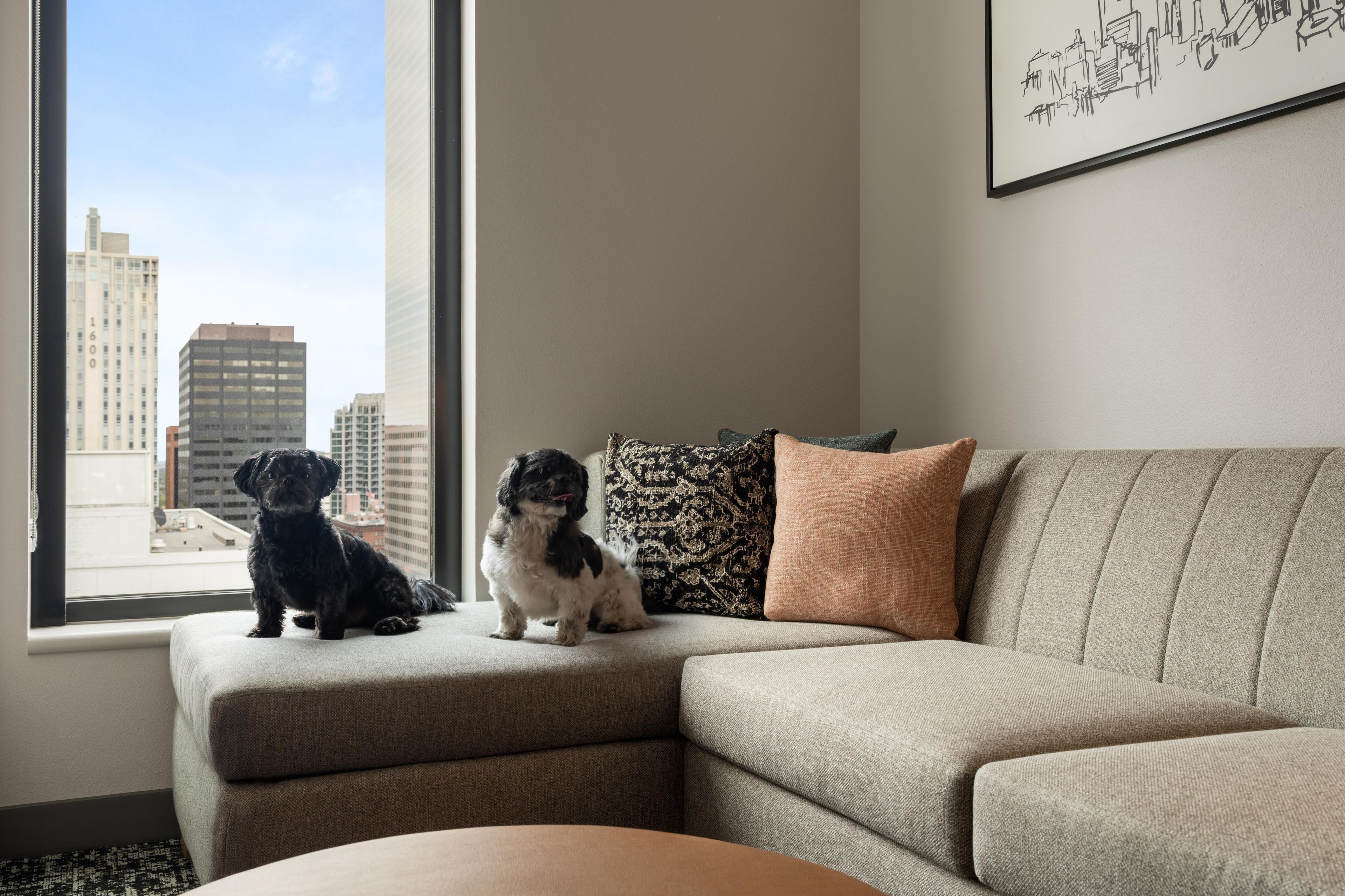 Foto - Hyatt House Denver Downtown