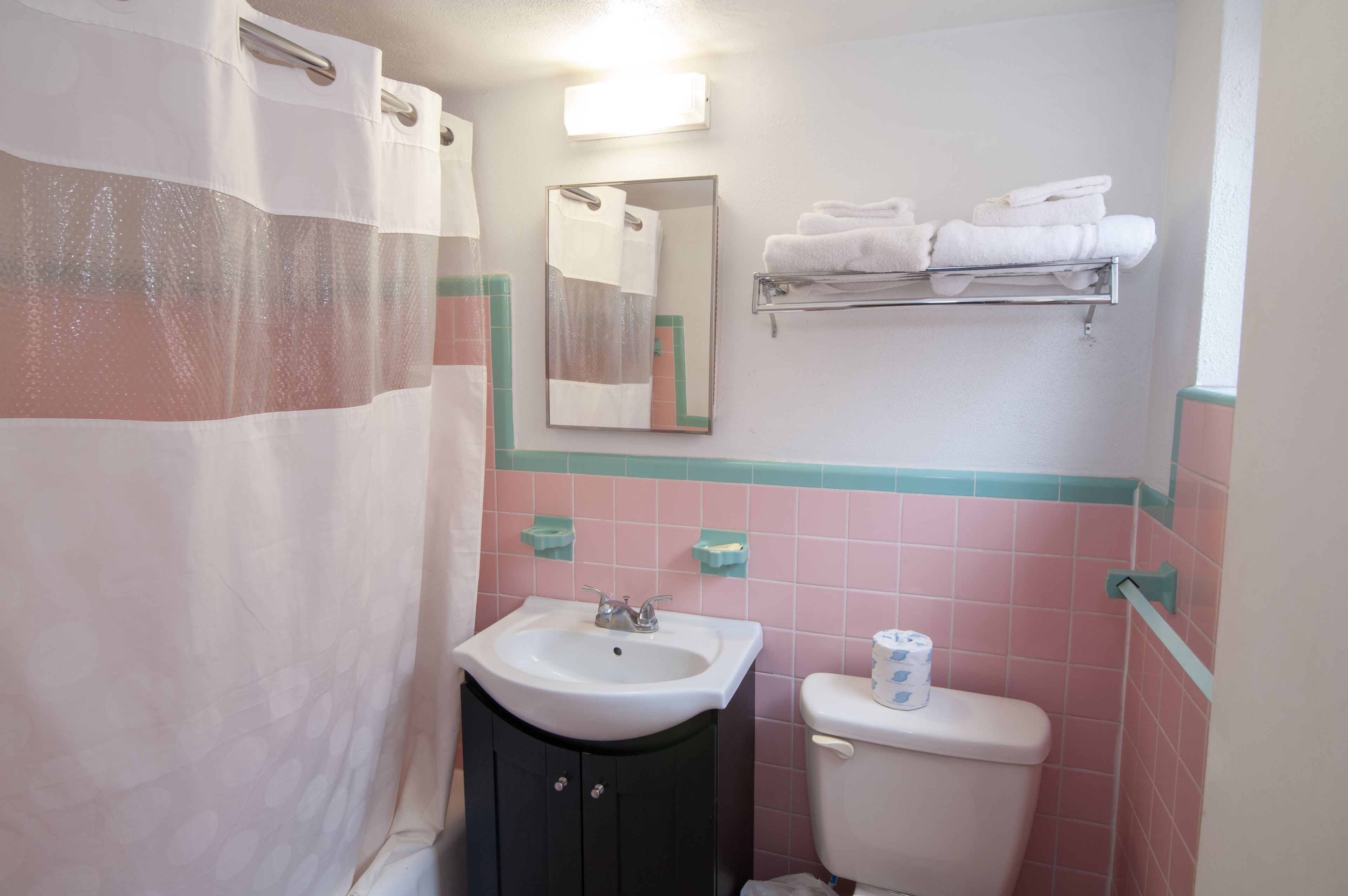 Et badeværelse med bruseforhæng, vask, toilet, spejl og håndklædestige.