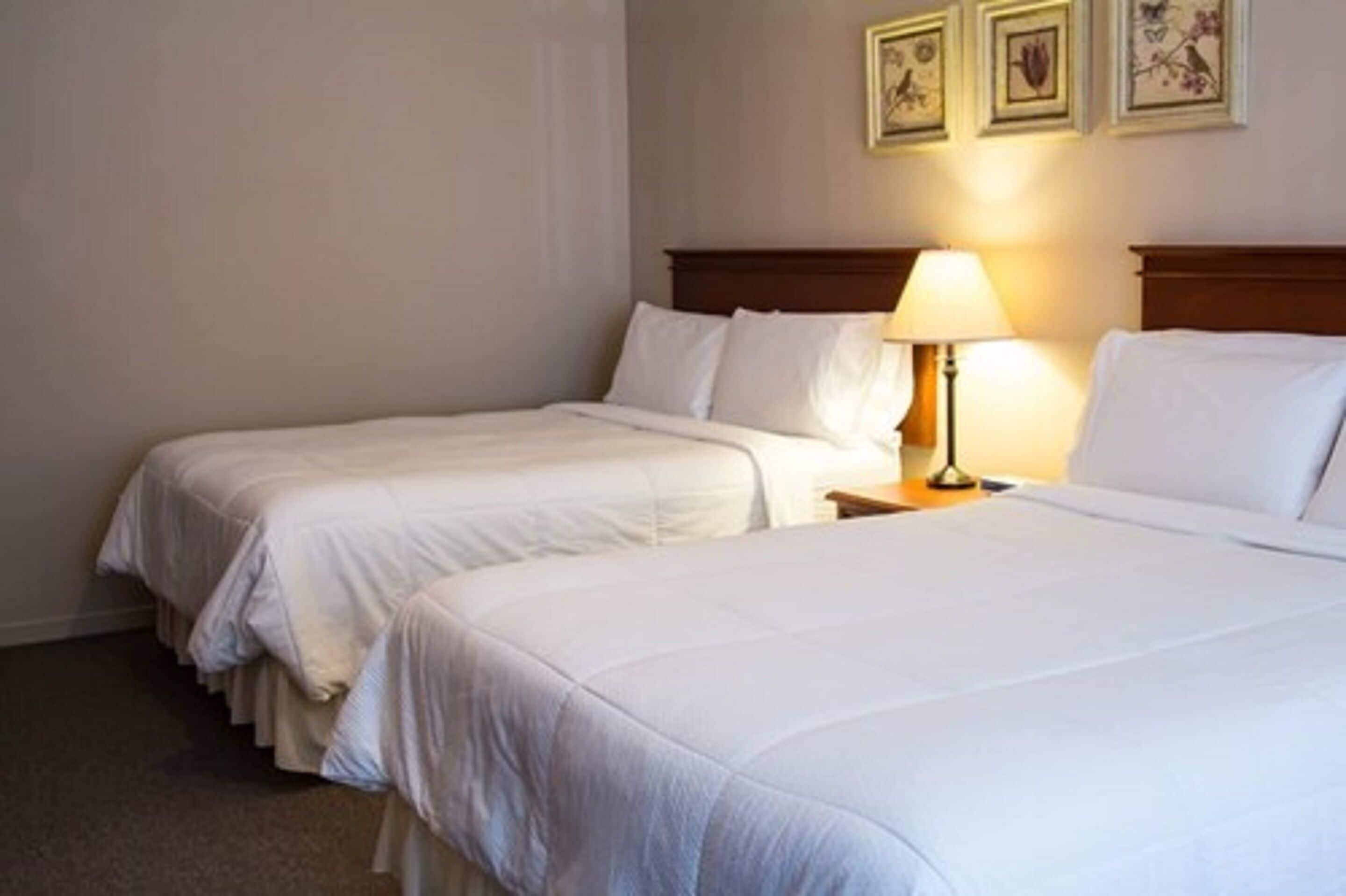 A hotel room with two single beds, a bedside table with a lamp, and a wall with framed pictures.