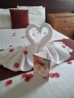 Cortinas blackout y ropa de cama 