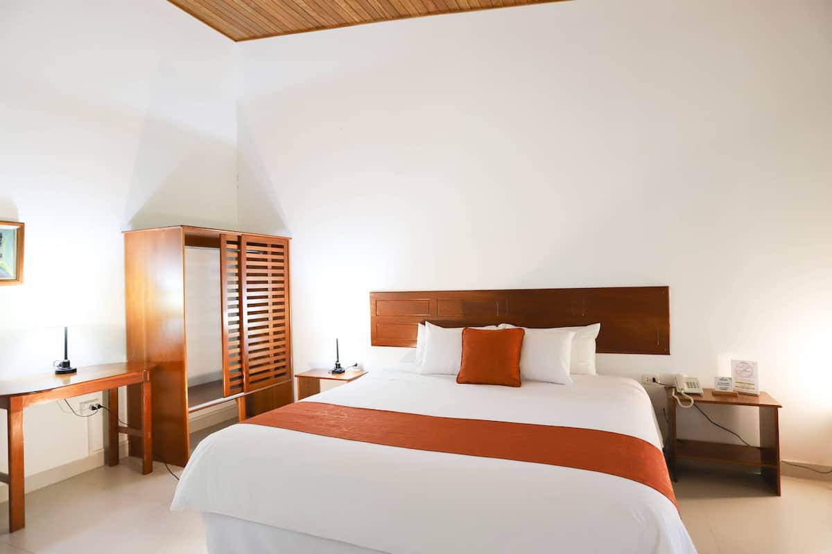 Superior Double Room, 1 King Bed, Terrace | Down comforters, laptop workspace, blackout drapes, free WiFi
