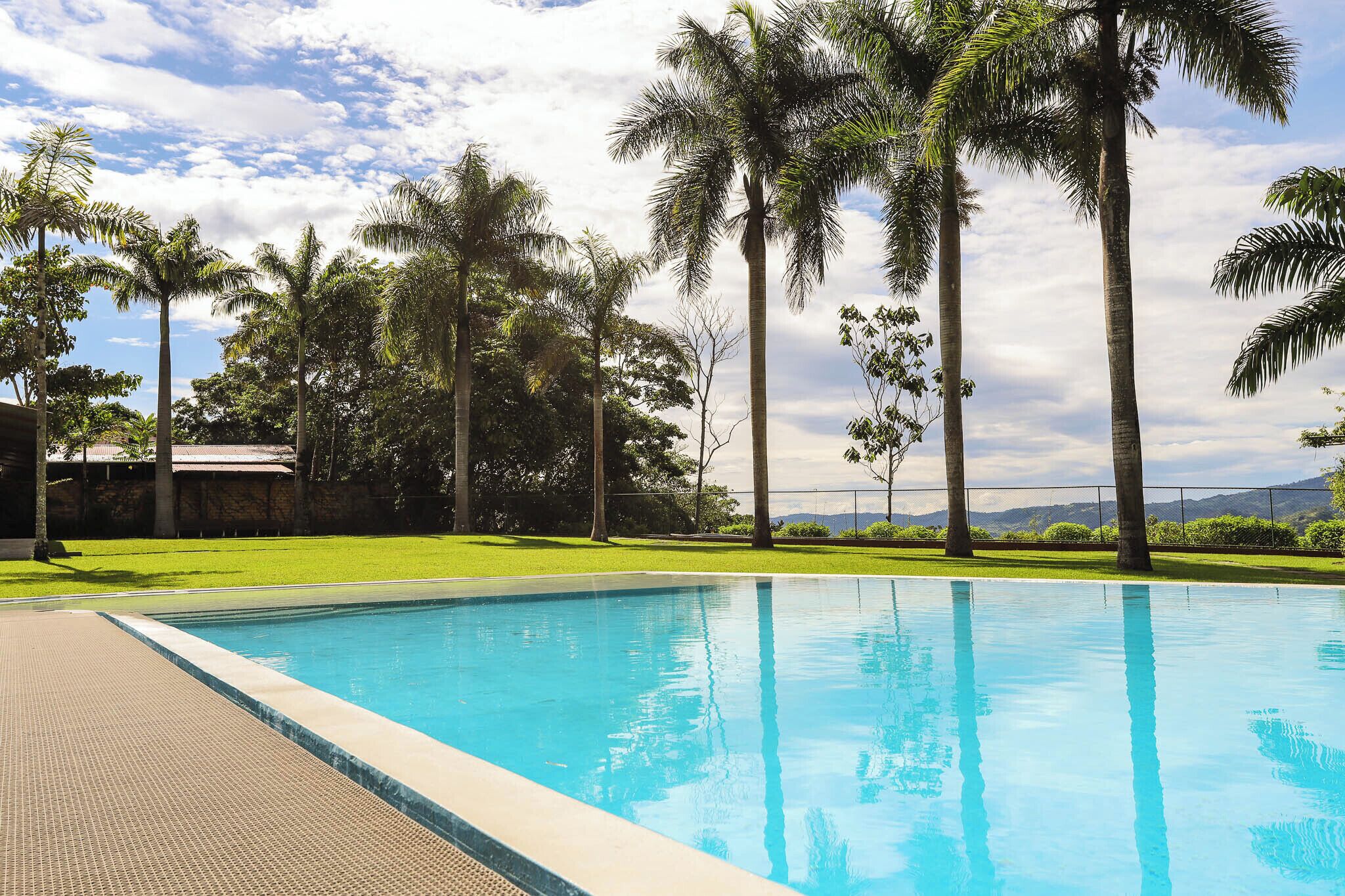 Una piscina con superficie de agua azul cristalina, rodeada de césped cuidado y altas palmeras.