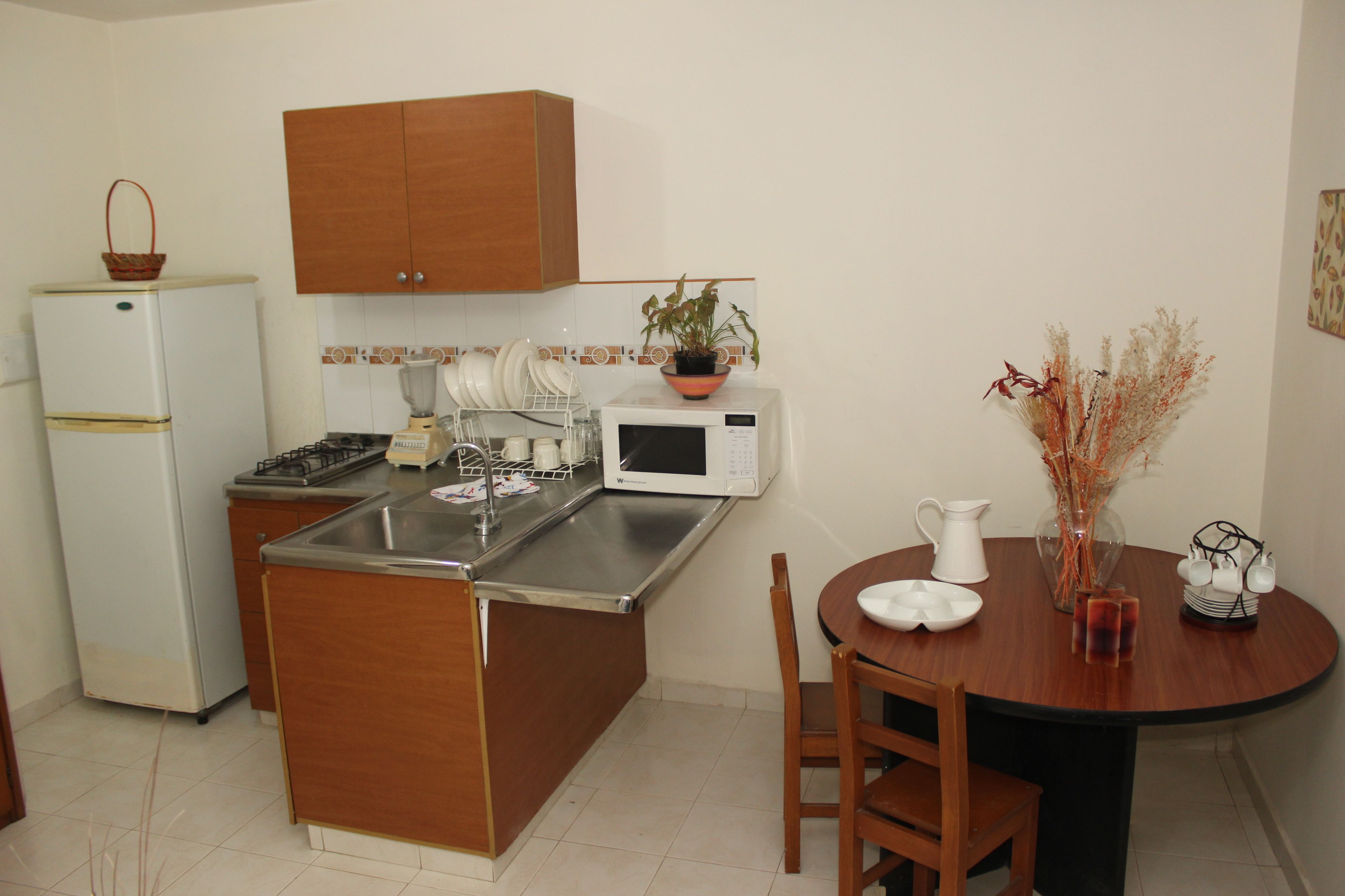 apartment 1 bedroom 5 guests | private kitchenette | fridge, microwave, stovetop, coffee/tea maker