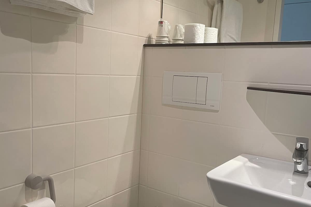 shower, eco-friendly toiletries, towels, soap