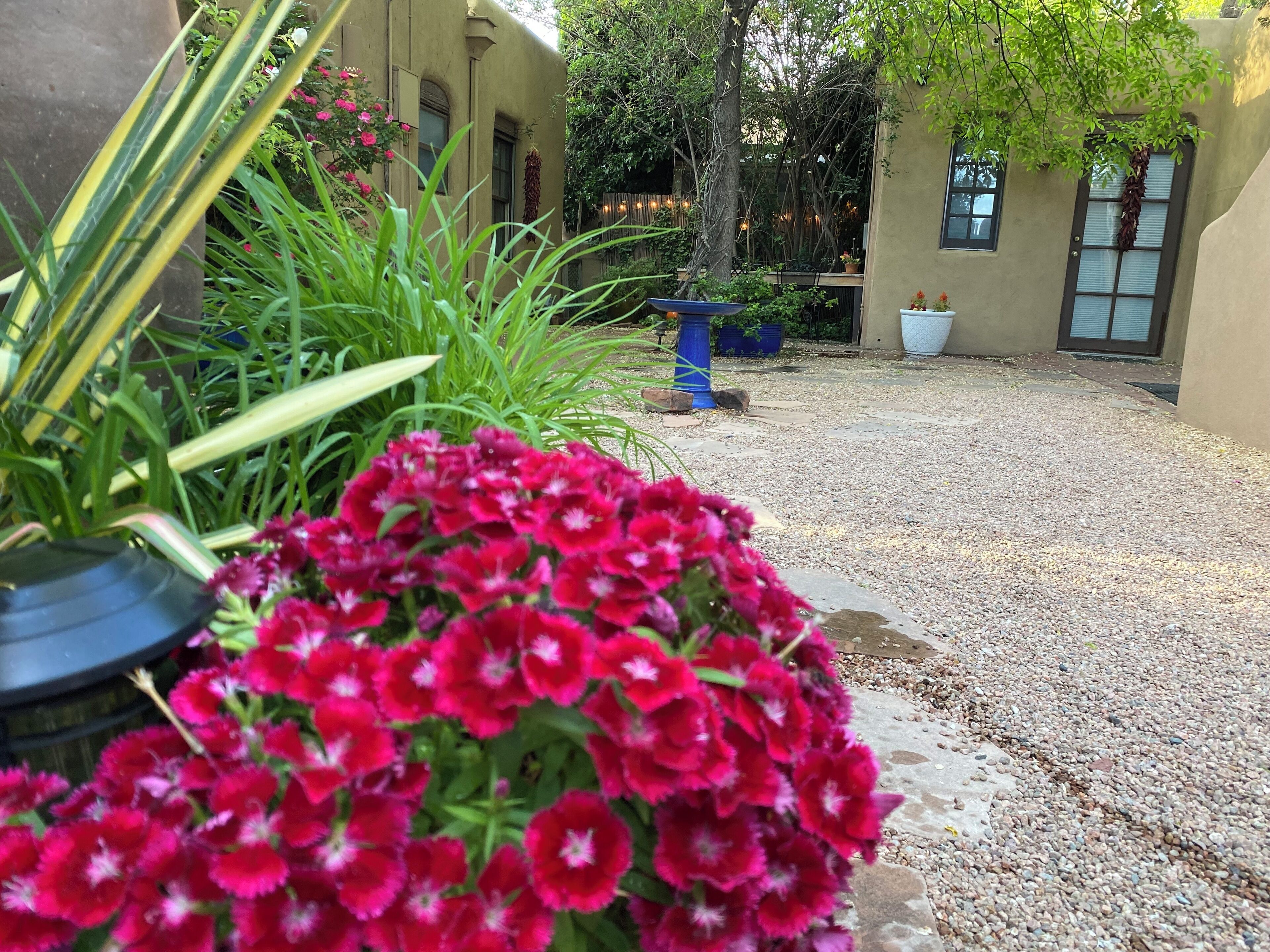 A courtyard with a gravel path, potted plants, and a building with large windows.