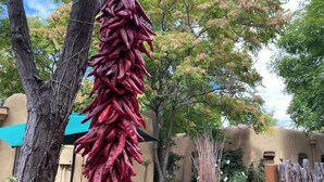 A courtyard with a hanging bunch of dried red chilies, trees, and a large terracotta pot. - Casa de Tres Lunas (Santa Fe)