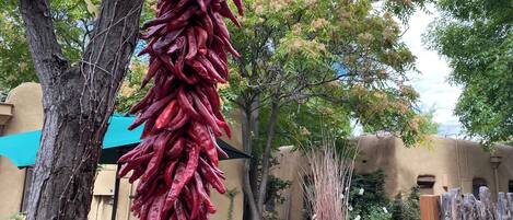 A courtyard with a hanging bunch of dried red chilies, trees, and a large terracotta pot.