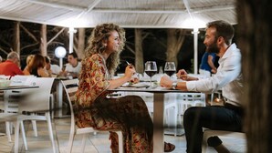 Un comedor con mesas y sillas, una zona de estar al aire libre techada, y vistas a árboles en el fondo.