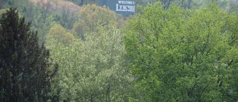 A water tower with "Welcome to Lynchburg" written on it, surrounded by dense green trees.