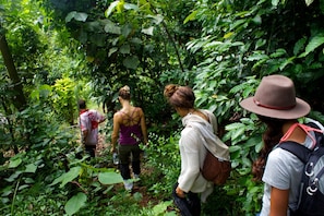 A group of people walking through a dense, green forested area.
