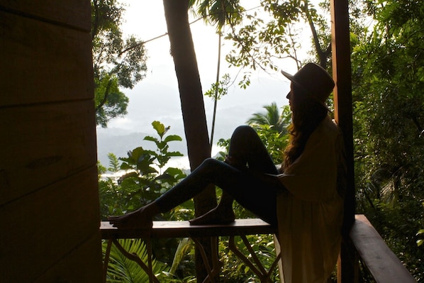 View from property