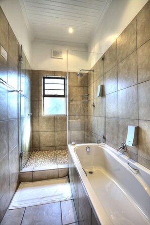 Standard Apartment, 2 Bedrooms (Upstairs) | Bathroom | Separate tub and shower, free toiletries, hair dryer