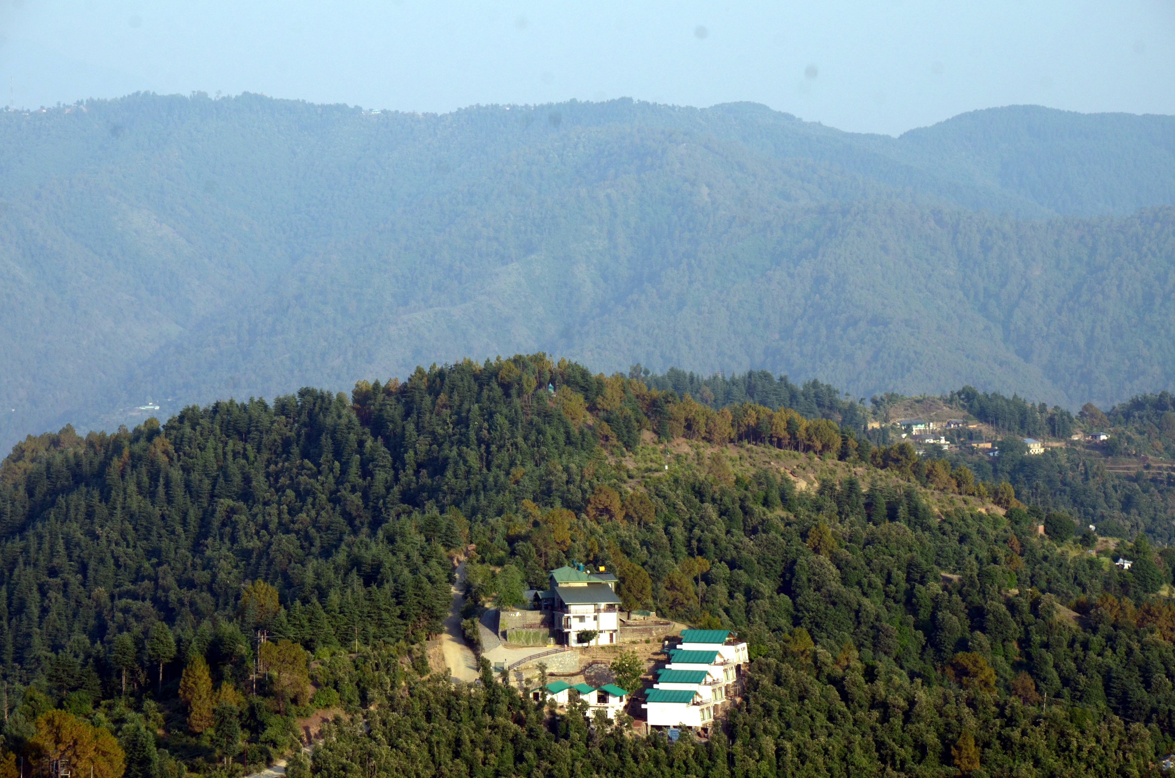 A mountainous area with a cluster of buildings surrounded by dense forest.