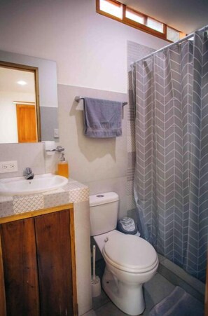 Serviettes fournies, savon, papier toilette