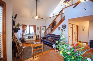 Télévision, cheminée, jeux vidéo, livres