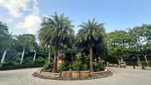 A landscaped area with palm trees and a stone pathway. - Bansari Greens Resort (Aluva)