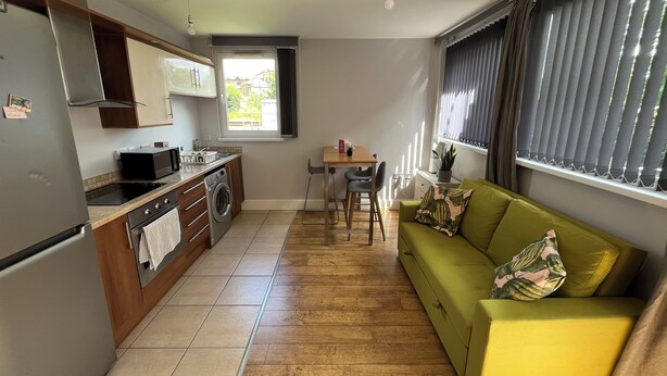 A compact kitchen with a refrigerator, microwave, and washing machine, a dining area with a table and chairs, and a green sofa with a plant. - Modern spacious apartment, direct access to London Bridge and central London (London)