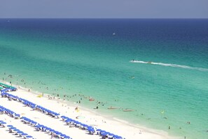 1 bedroom, Internet - The Scallop by Brightwild Beachfront Condo (Destin)