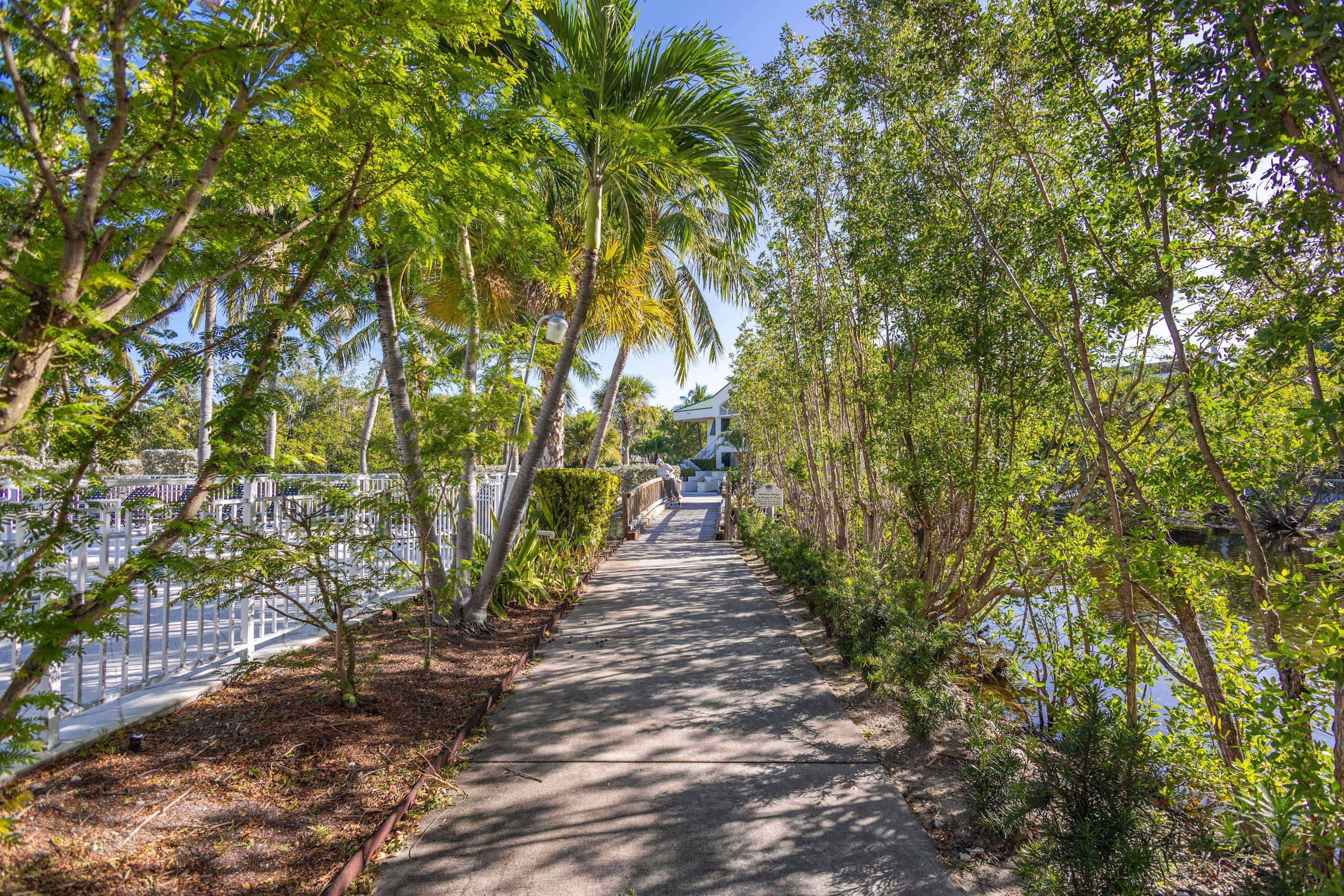 A pathway flanked by trees and a body of water, leading to a building with a green roof.