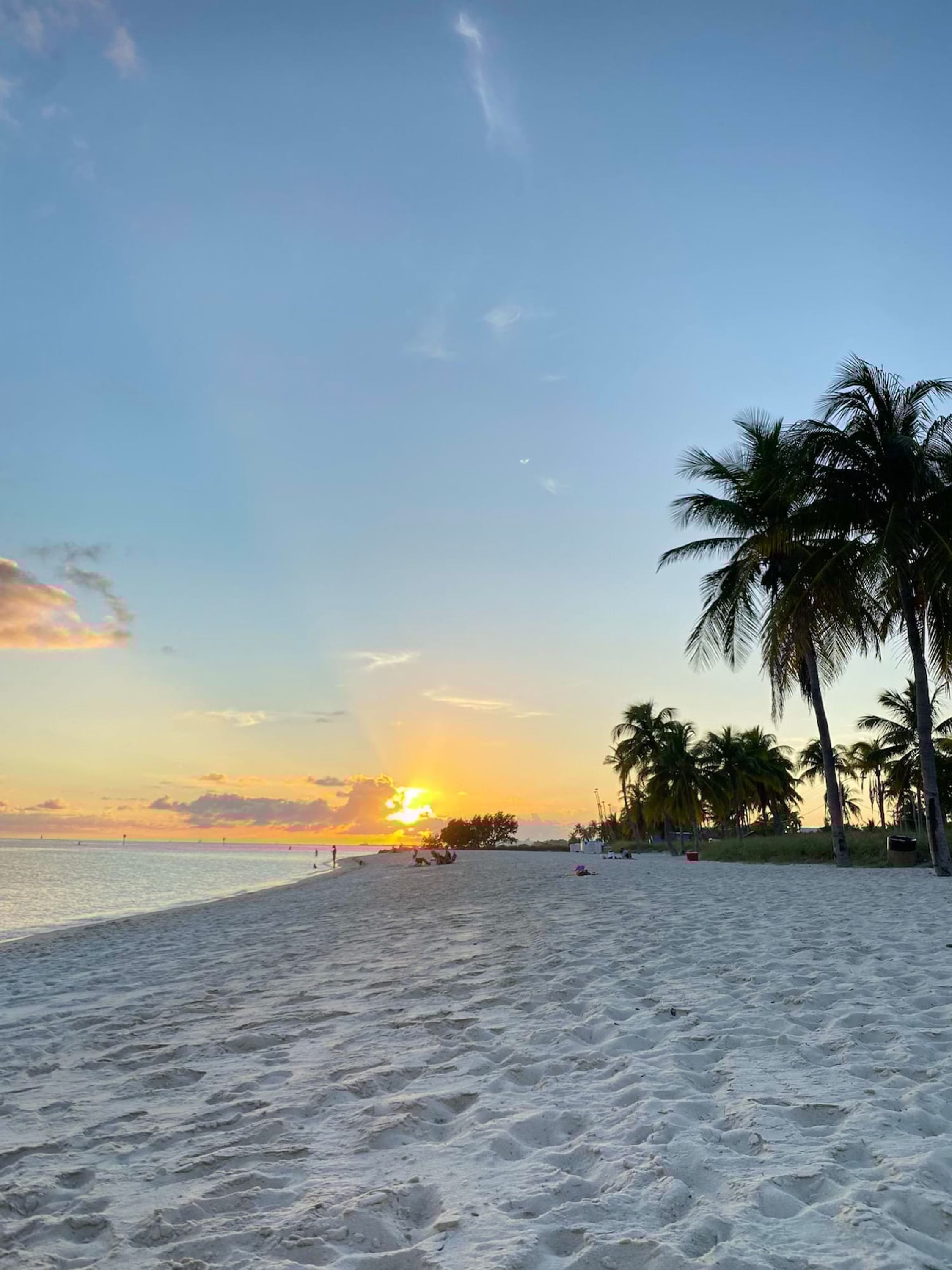 A beach with white sand and palm trees.