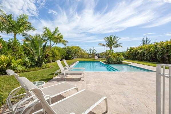 Une piscine avec des chaises longues et des palmiers.