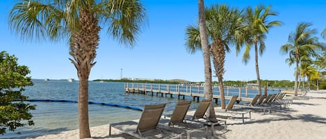 公寓 | 2 多间卧室