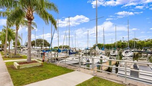 A marina with multiple boats docked, surrounded by palm trees and a clear sky.