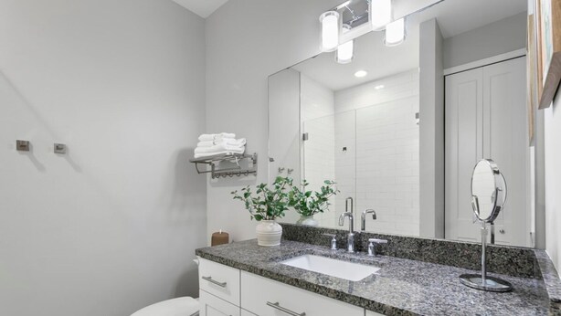 A modern bathroom with a white toilet, a granite countertop sink, a large mirror, and a potted plant.