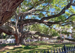 Exterior - NEW Canopy Cabana Luxury Downtown Apt (Safety Harbor)